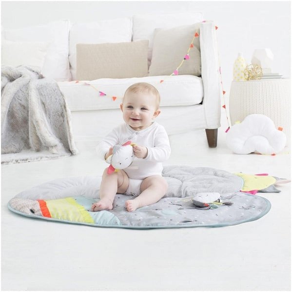 Skip Hop Baby Play Gym rental in New Jersey