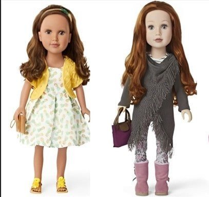 18 Inch Doll Toy Bin rental in Napa - Sonoma, CA