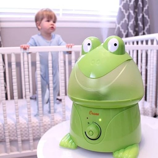 Cute Frog Humidifier rental in San Antonio