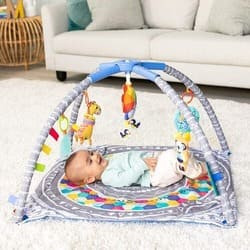 Baby Activity Gym rental in Richmond, VA