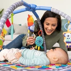 Baby Activity Gym rental in Phoenix - Scottsdale, AZ