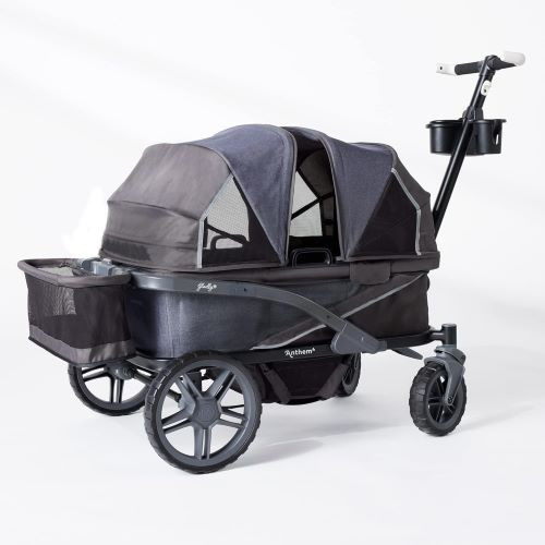 Anthem 4 Quad All-Terrain Wagon Stroller rental in Delaware