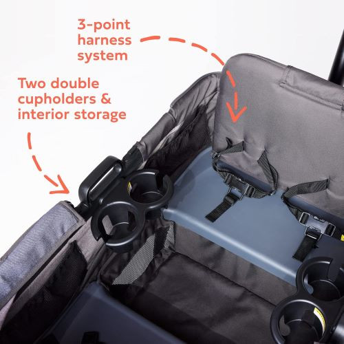 Anthem 4 Quad All-Terrain Wagon Stroller rental in Delaware