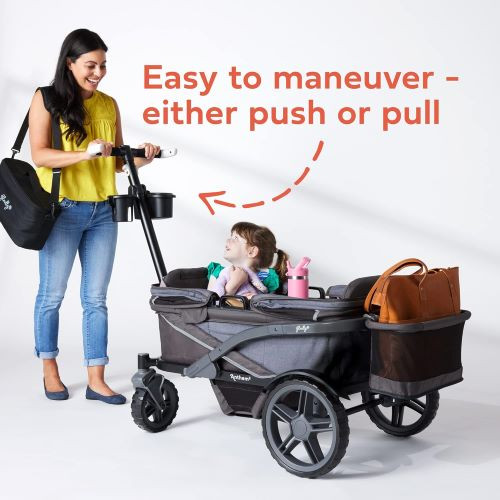 Anthem 4 Quad All-Terrain Wagon Stroller rental in Delaware