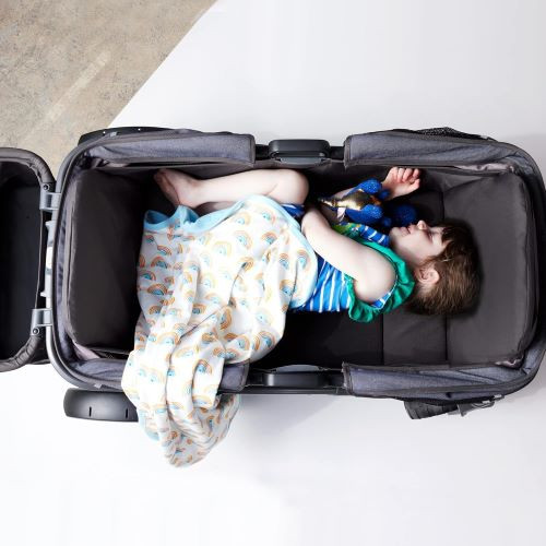 Anthem 4 Quad All-Terrain Wagon Stroller rental in Delaware