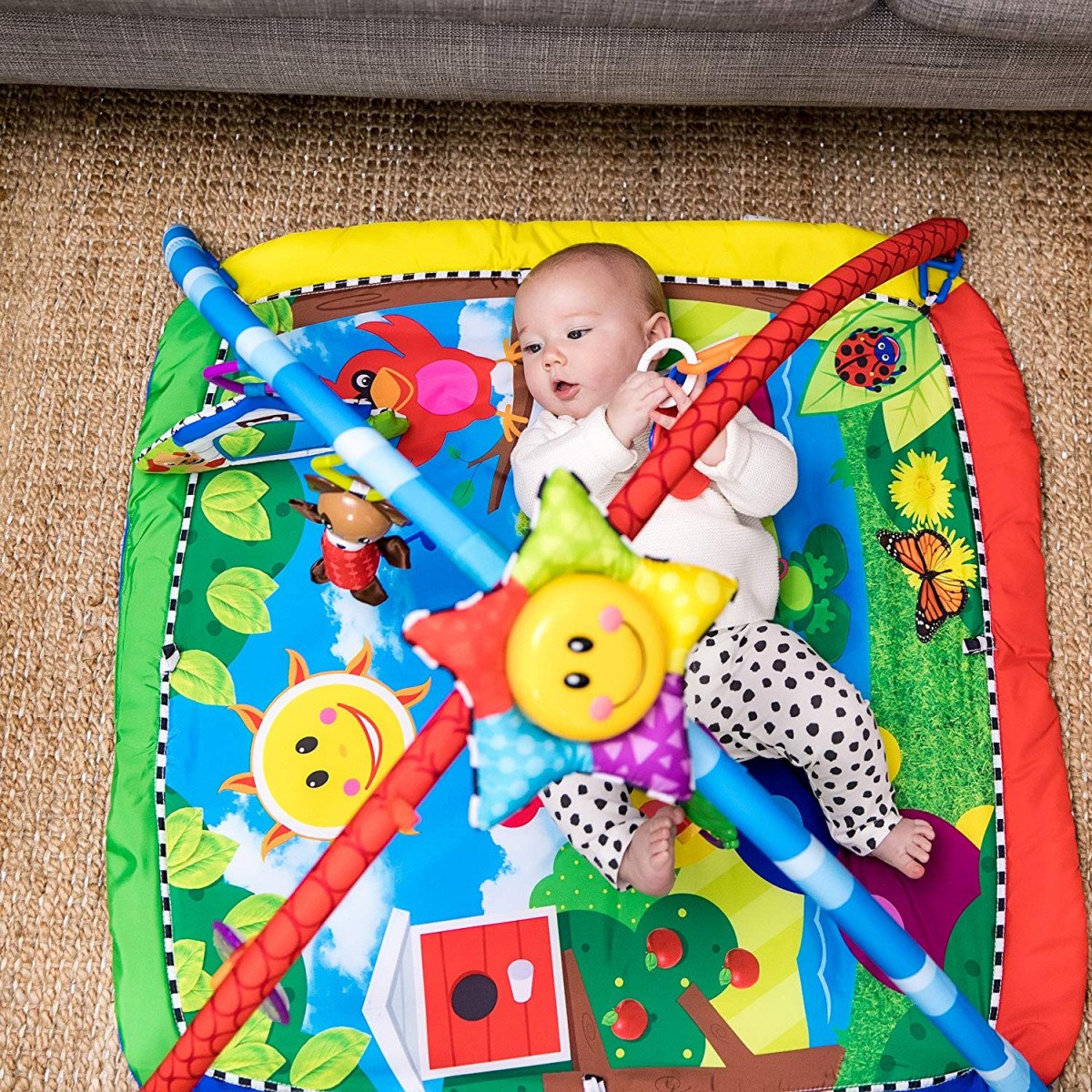Baby Activity Gym rental in San Francisco, CA