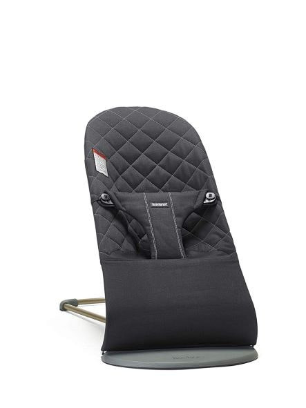 BabyBjorn Bouncer rental in Richmond, VA