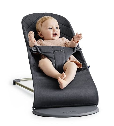 BabyBjorn Bouncer rental in Richmond, VA