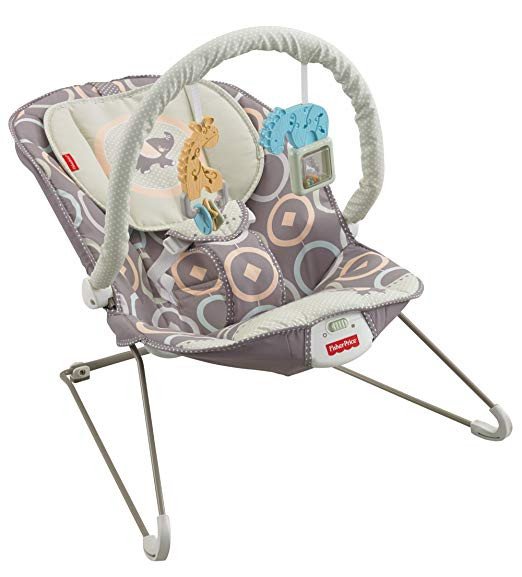 Bouncy Seat rental in Ocala, FL