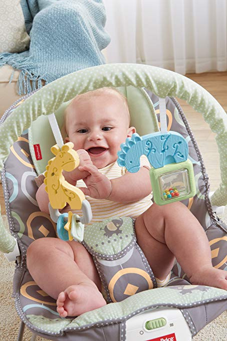 Bouncy Seat rental in Flagstaff Arizona