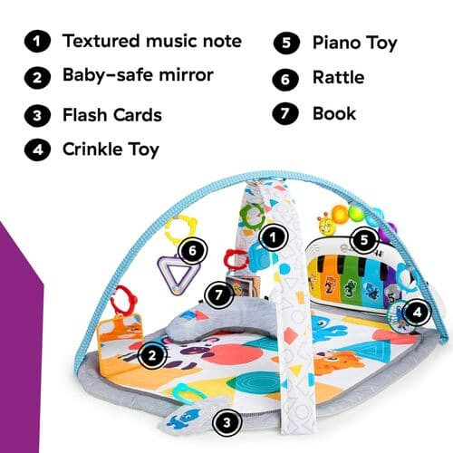 Baby Einstein Kickin Tunes & Language Play Gym rental in Delaware