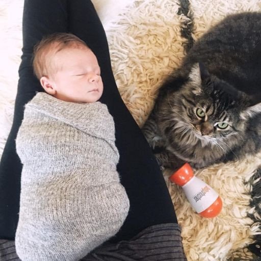 Sound Machine with Lights & Music rental in Las Vegas, NV