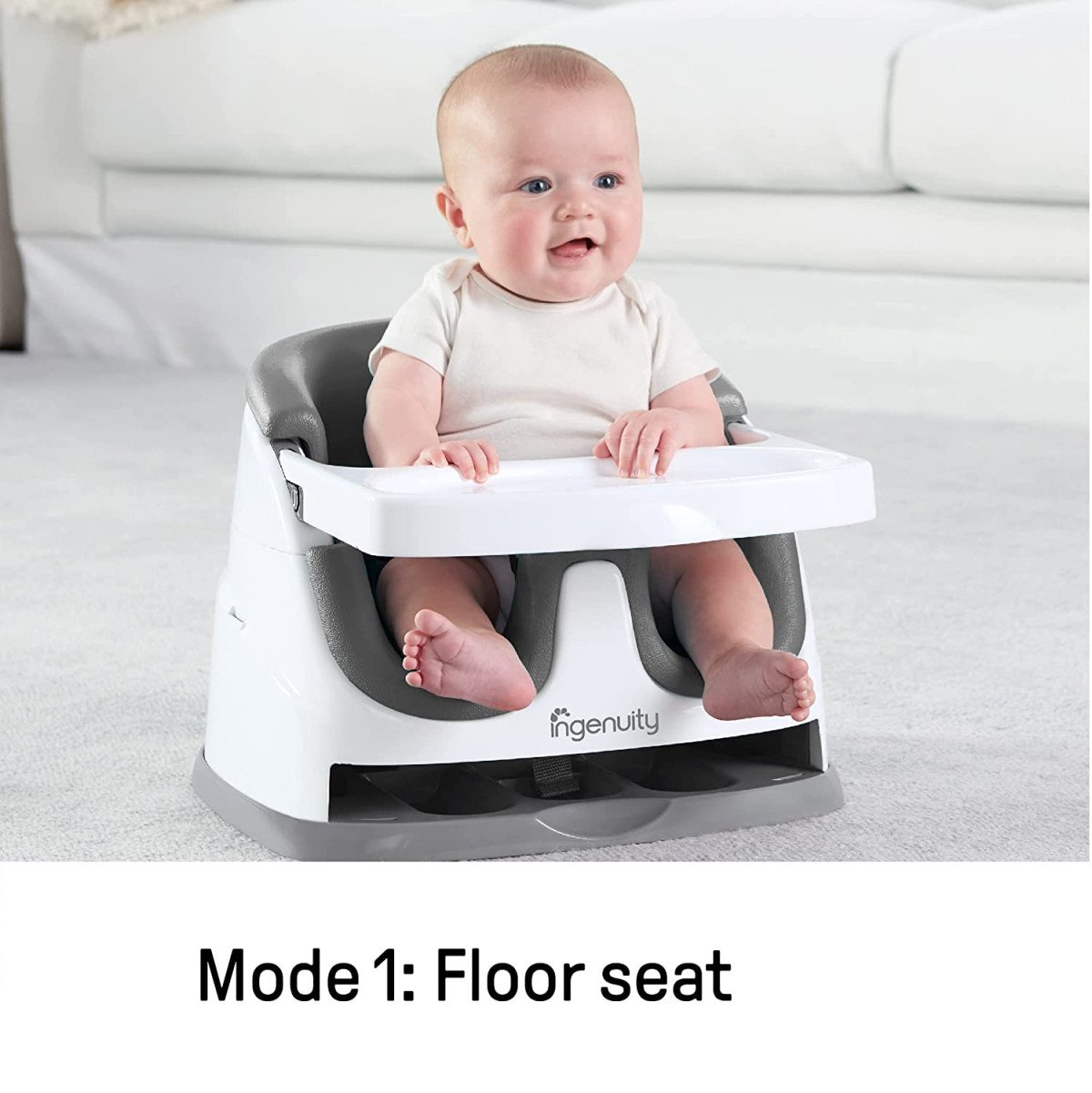 Ingenuity Booster Seat rental in Dallas, TX