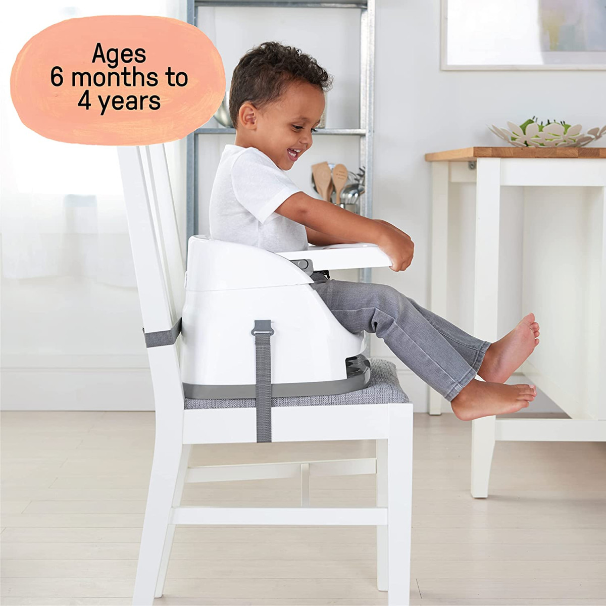 Ingenuity Booster Seat rental in Flagstaff Arizona