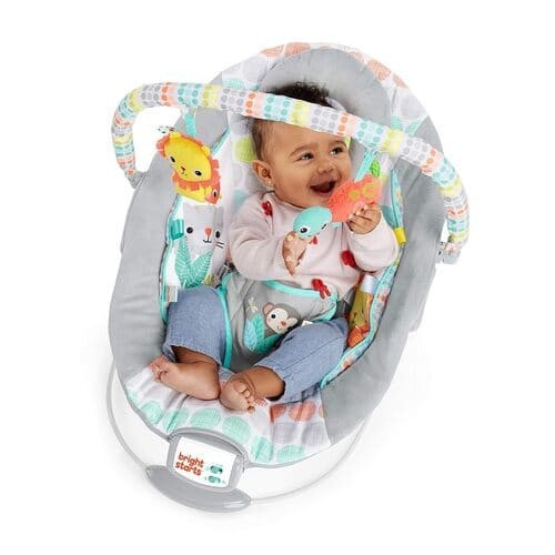 Bright Starts Bouncer Seat rental in Connecticut