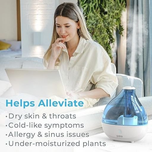 Humidifier rental in Delaware