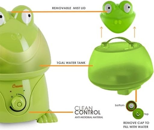 Cute Frog Humidifier rental in San Antonio