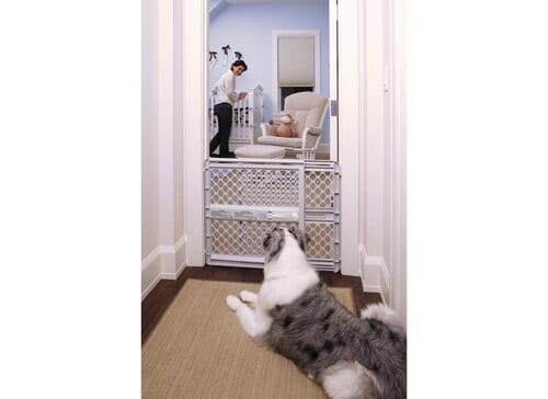 Door Gate rental in Long Island, NY