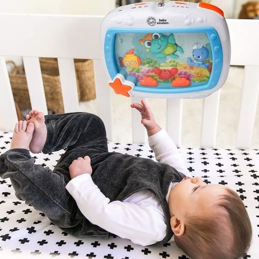 Dreams Soother rental in St. Petersburg-Clearwater