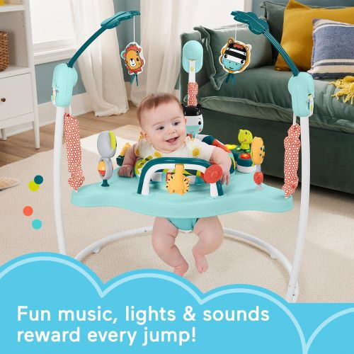 Fisher-Price Baby Bouncer Activity Center rental in Delaware