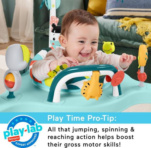 Fisher-Price Baby Bouncer Activity Center rental in Delaware