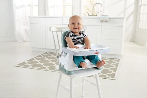 Booster Seat w/ Tray rental in Boston, MA