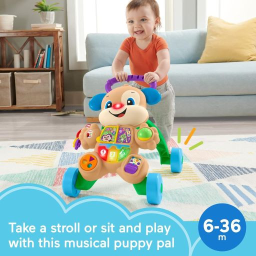 Fisher-Price Laugh & Learn Walker rental in Delaware