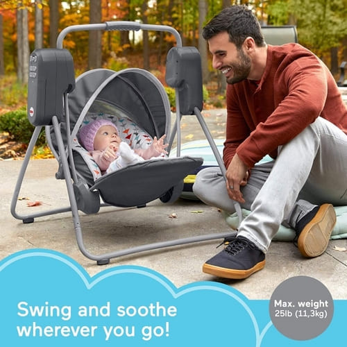 Fisher-Price On-the-Go Soothing Baby Swing rental in Richmond, VA