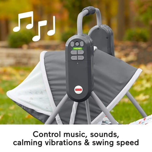 Fisher-Price On-the-Go Soothing Baby Swing rental in Richmond, VA