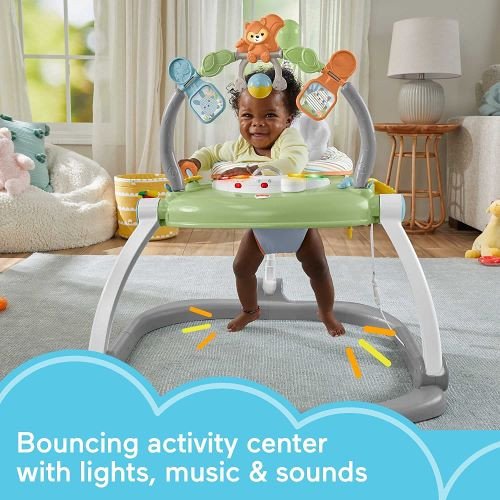 Baby Bouncer SpaceSaver Jumperoo By Fisher Price rental in San Antonio