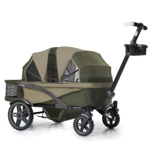 Gladly 4 seater wagon rental in Hilton Head Island South Carolina