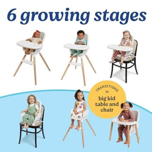 Graco Table2Table Lux Highchair rental in Boston, MA