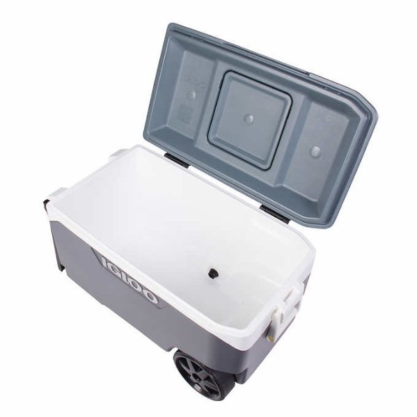 Igloo 90-quart Cooler rental in Anaheim - Disneyland