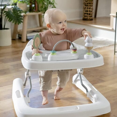 Ingenuity Step & Sprout 3-in-1 Baby Walker rental in St. Petersburg-Clearwater