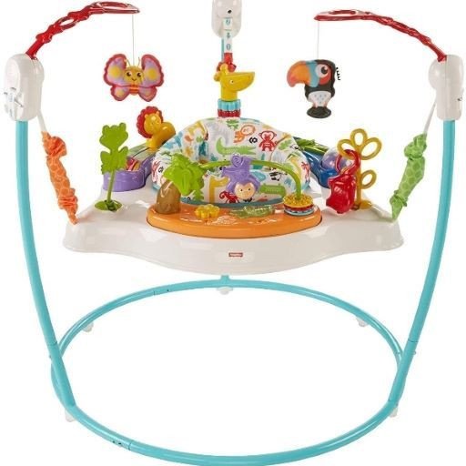 Fisher-Price Animal Wonders Jumperoo rental in Raleigh, NC