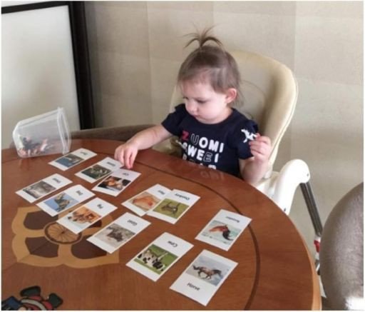 Montessori Match Game rental in Chicago, IL