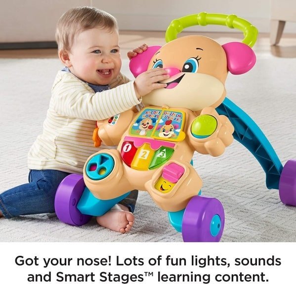 Musical Walking Toy rental in Chicago, IL
