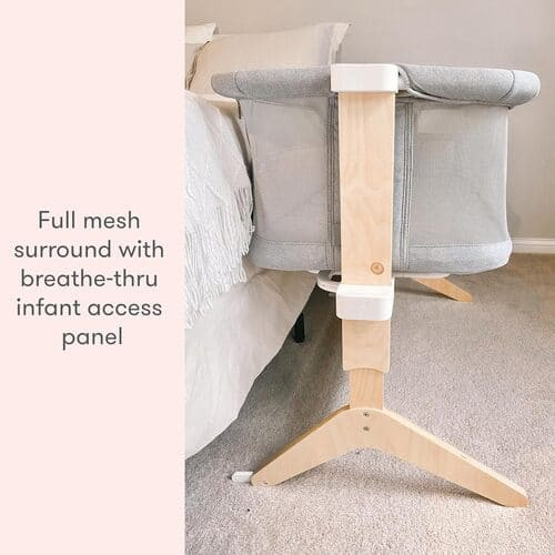 Newton Baby Bassinet & Bedside Sleeper rental in San Antonio