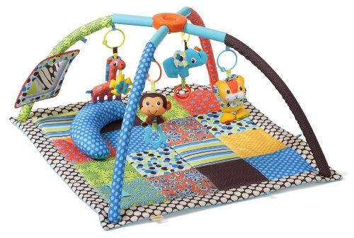 Baby Activity Gym rental in Richmond, VA