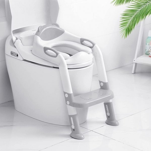 Potty training seat/ step ladder  rental in Virginia Beach, VA