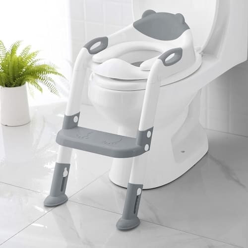 Potty Training Seat rental in Delaware