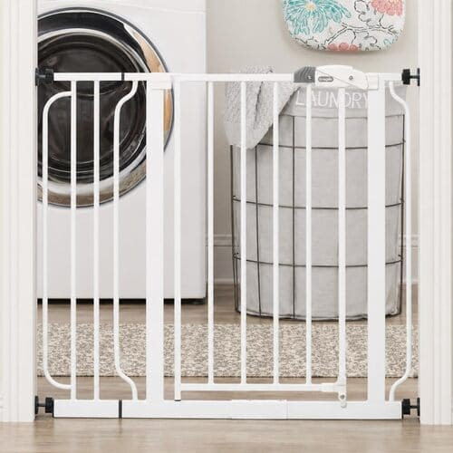 Regalo Easy Step Walk Thru Gate rental in San Francisco, CA