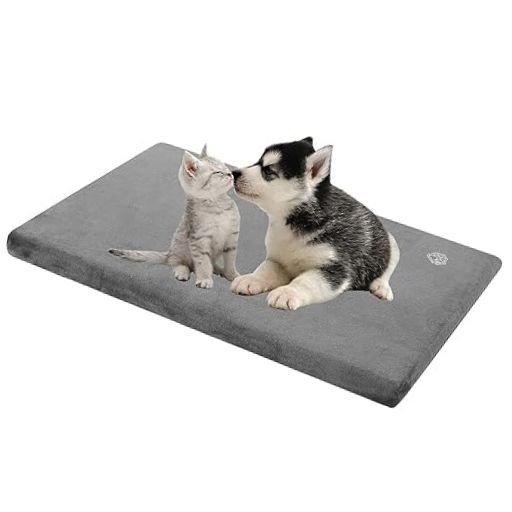 Reversible Comfort Dog Bed Mattress rental in Nashville