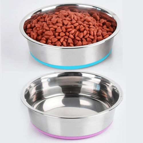 Set of 2 Pet Bowls rental in Virginia Beach, VA