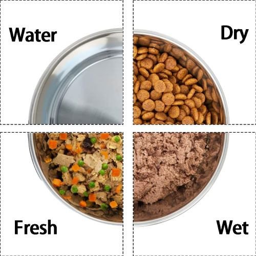 Set of 2 Pet Bowls rental in Virginia Beach, VA