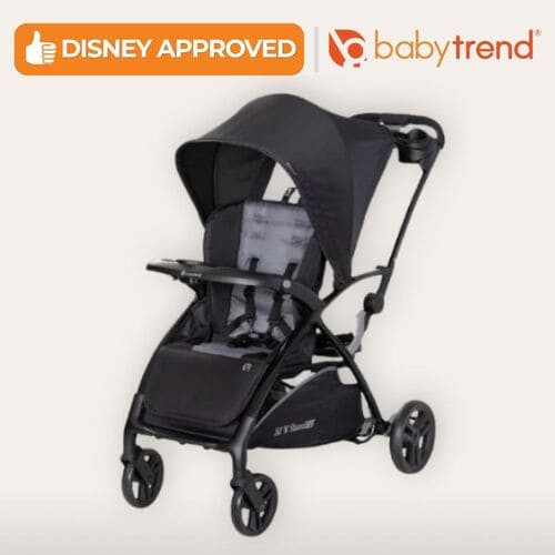 Sit N Stand rental in Anaheim - Disneyland