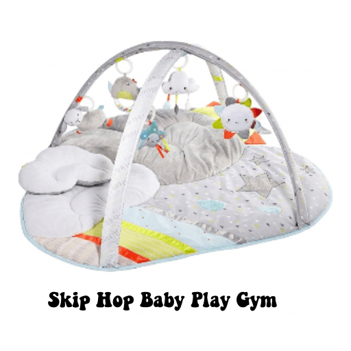 Skip Hop Baby Play Gym rental in New Jersey