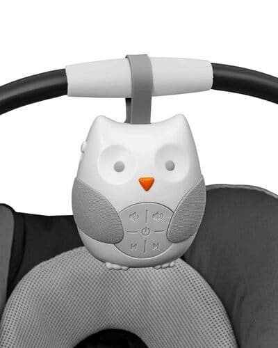 Skip Hop Portable Baby Soother rental in Delaware