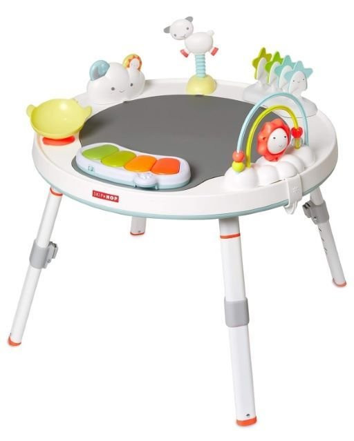 Skip Hop Baby Activity Center rental in Richmond, VA