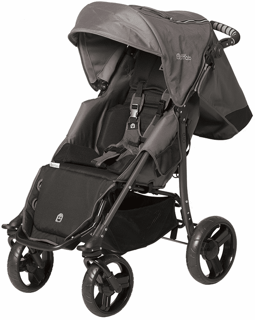 Special Mobility Stroller rental in Santa Barbara, CA